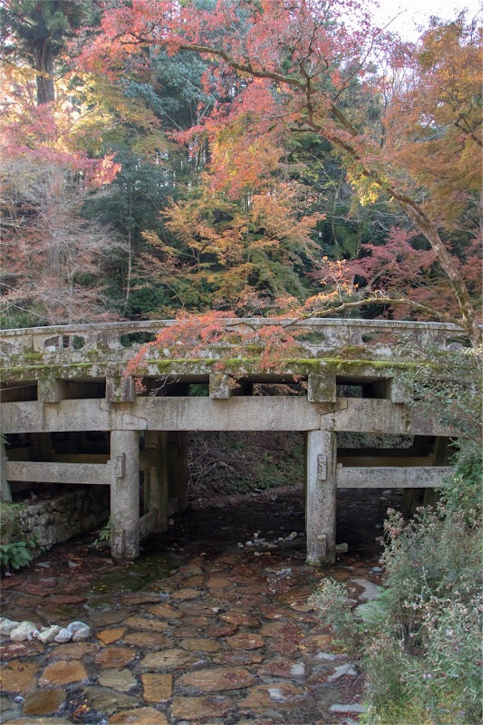 f:id:Jiroviolet:20181201132132j:image
