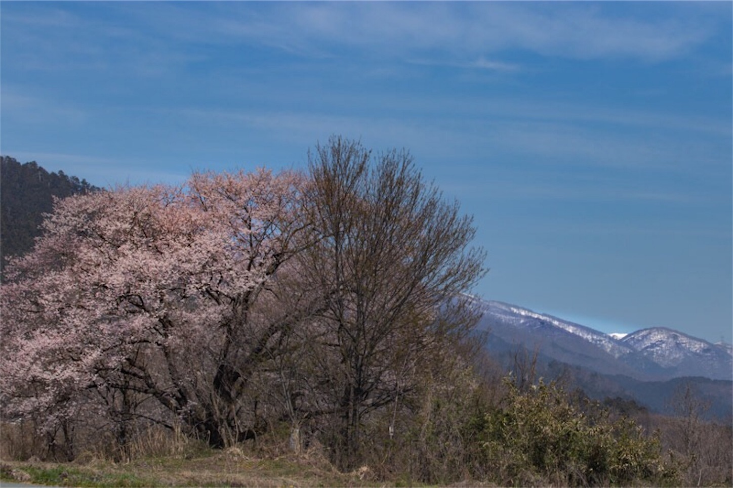 f:id:Jiroviolet:20190407200112j:image