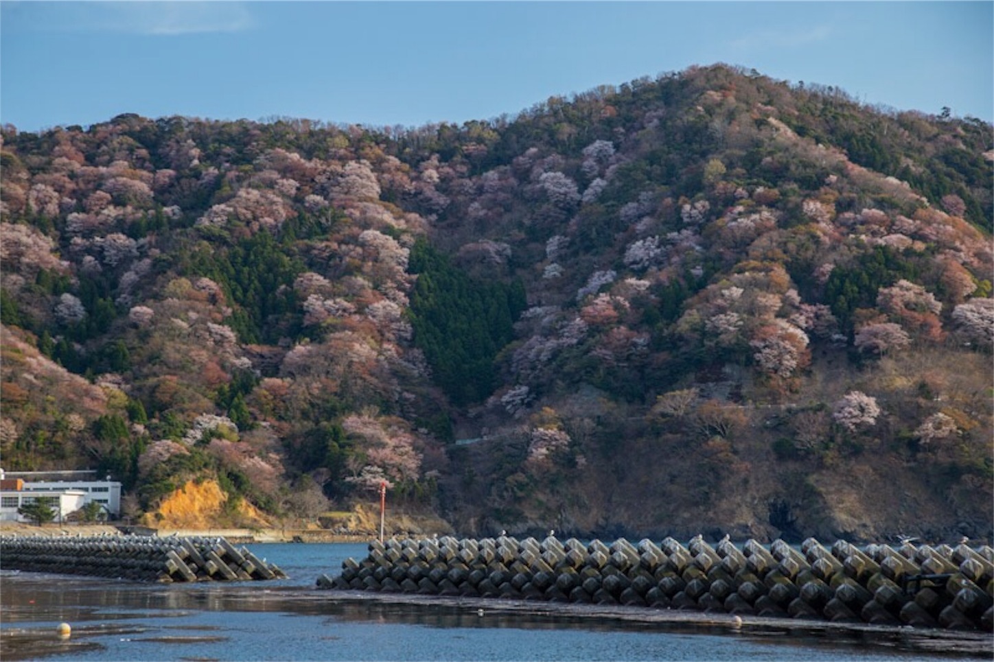 f:id:Jiroviolet:20190410214251j:image