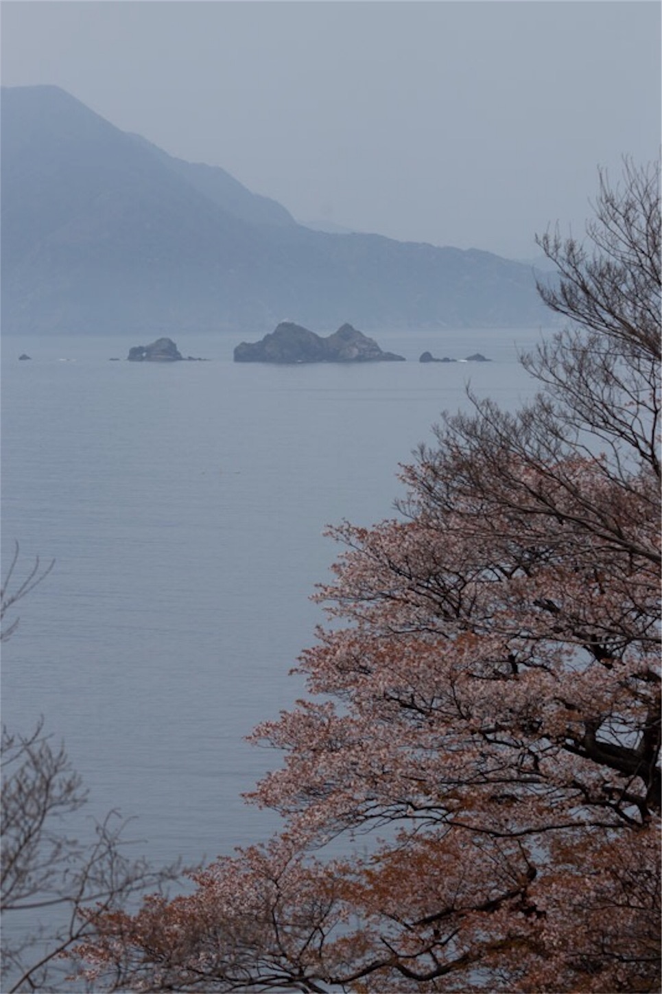 f:id:Jiroviolet:20190410220148j:image