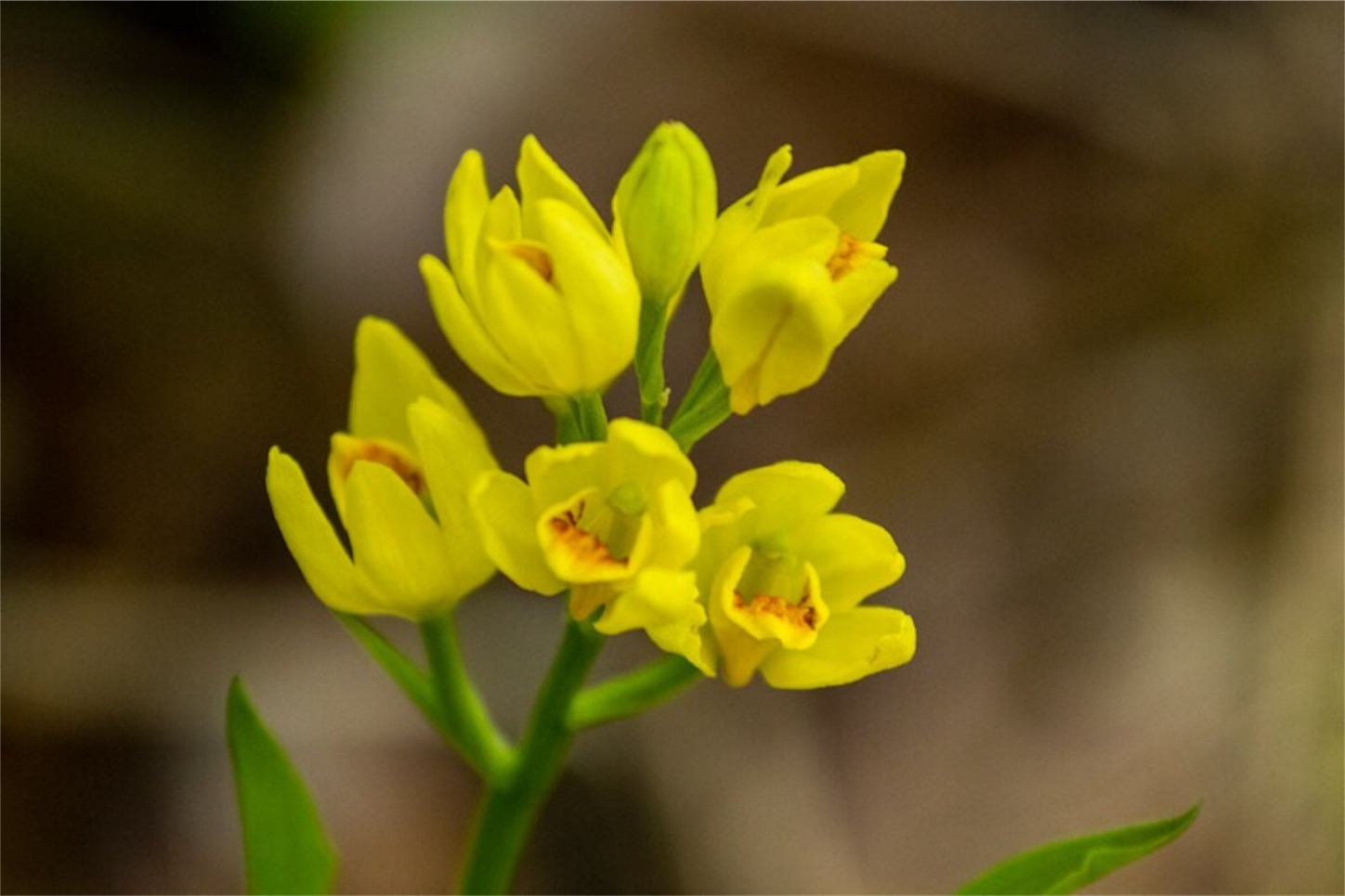f:id:Jiroviolet:20190504145648j:image