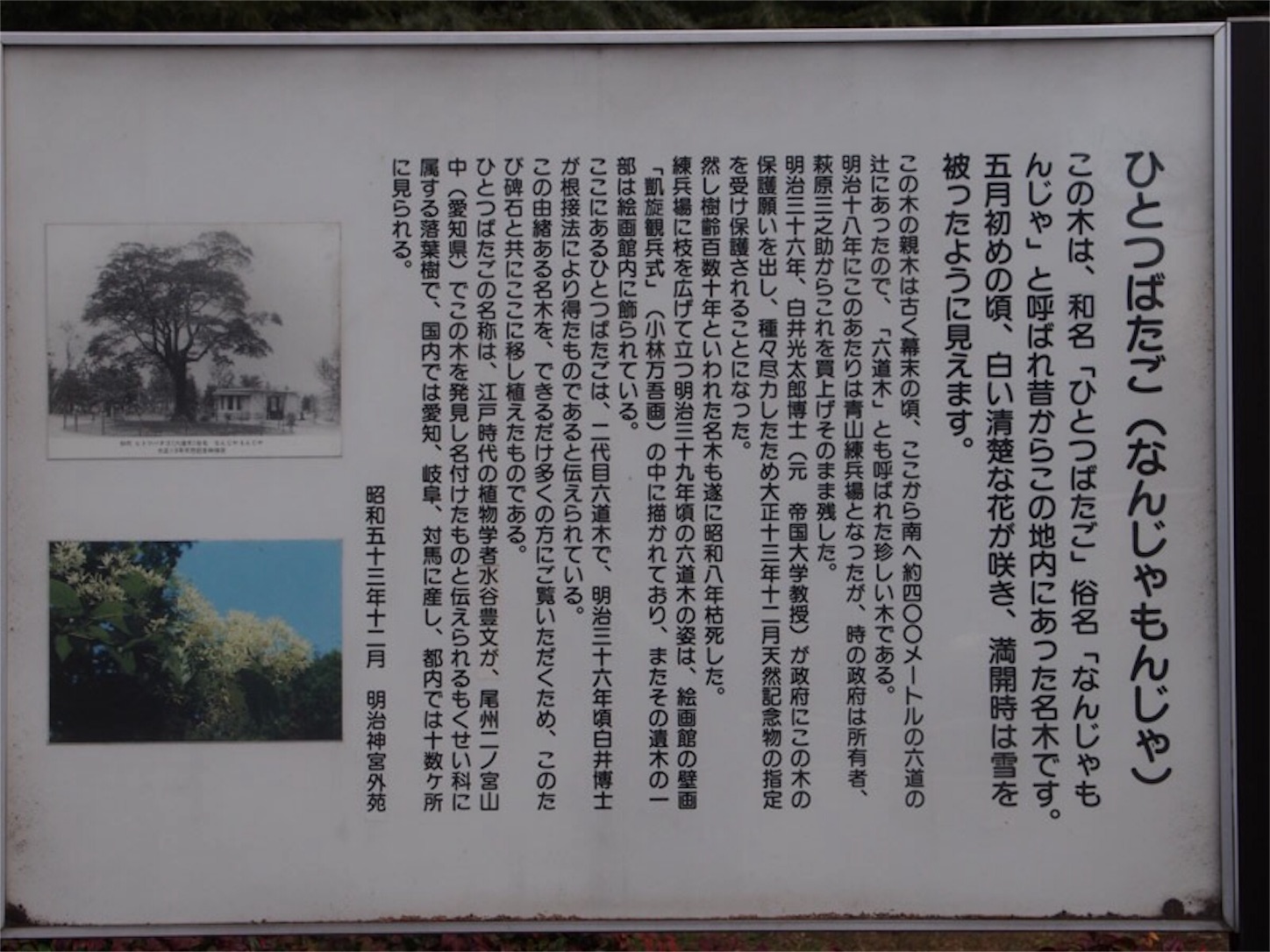 f:id:Jiroviolet:20190524153434j:image