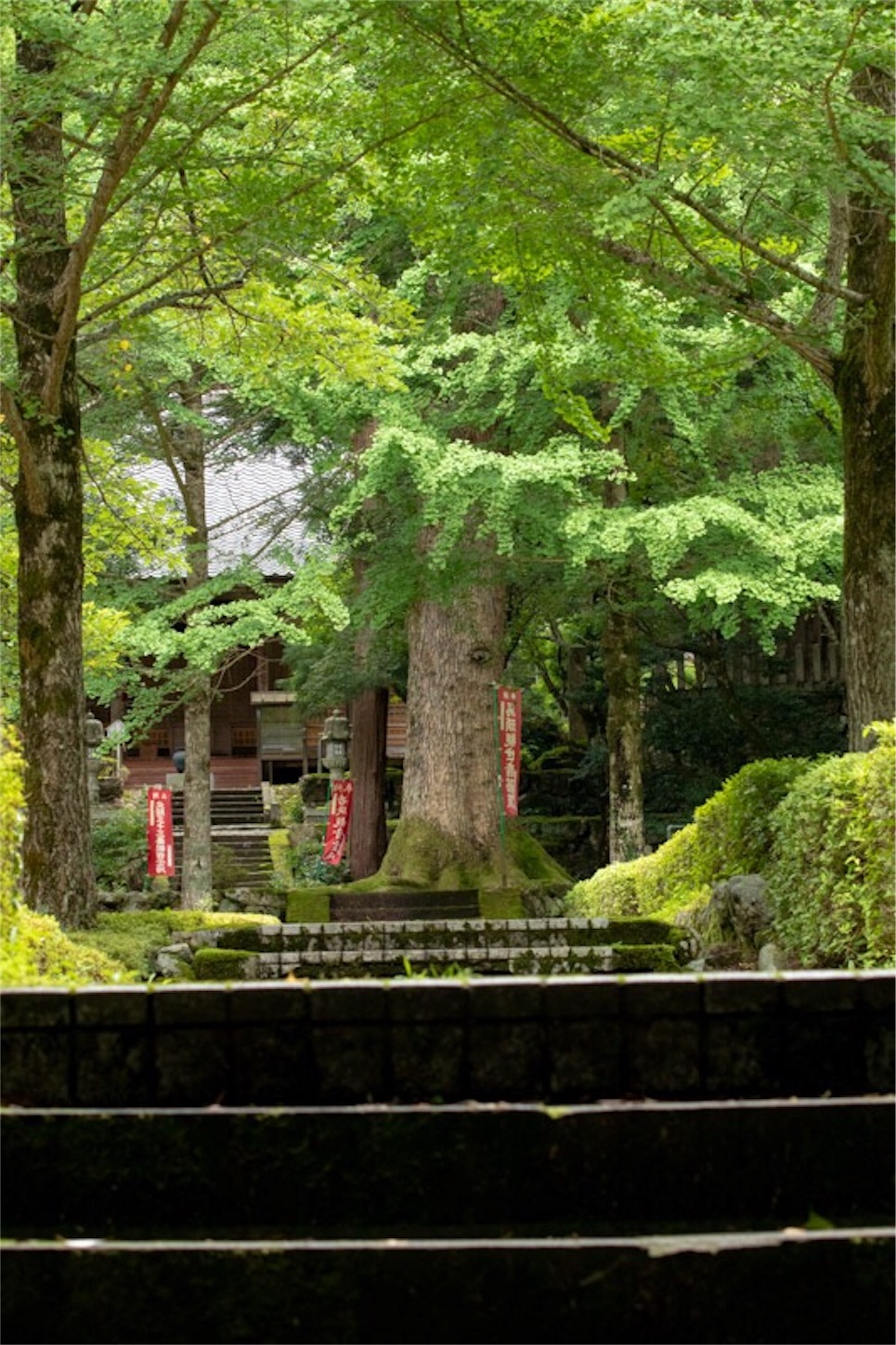 f:id:Jiroviolet:20190721185805j:image
