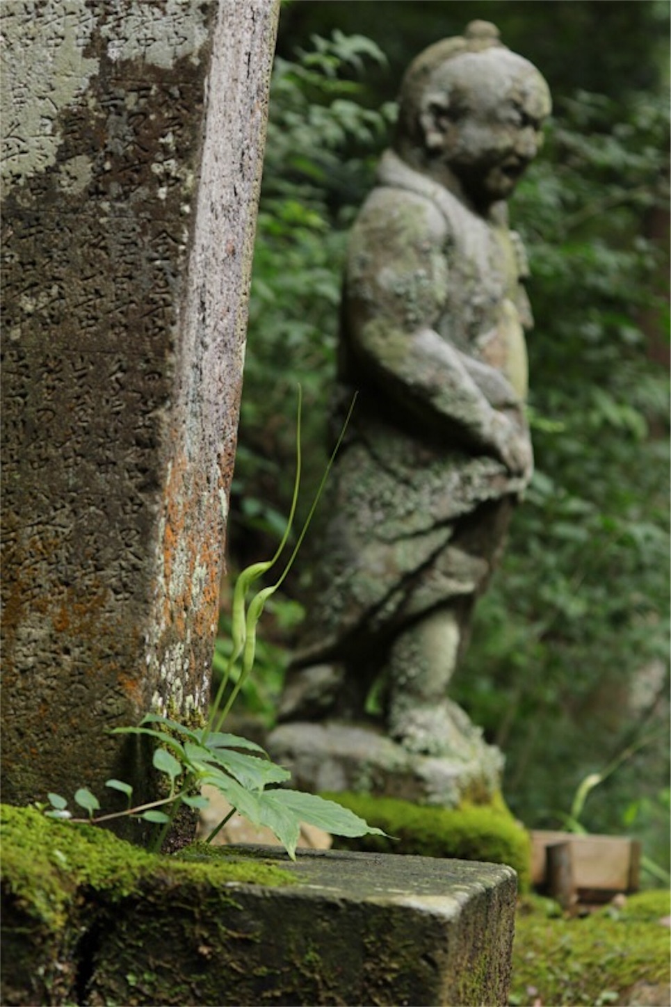 f:id:Jiroviolet:20190721185953j:image