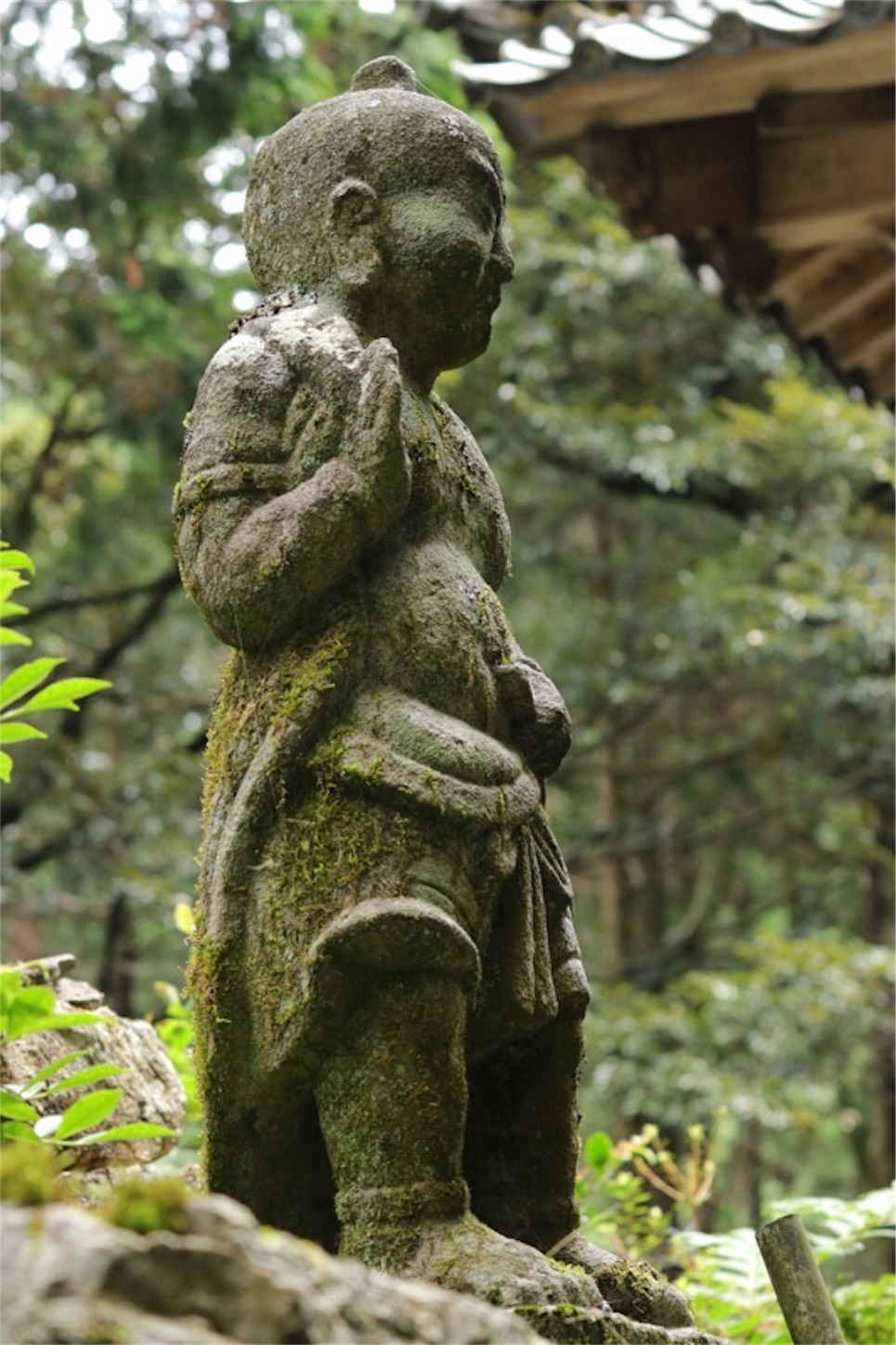 f:id:Jiroviolet:20190721185956j:image