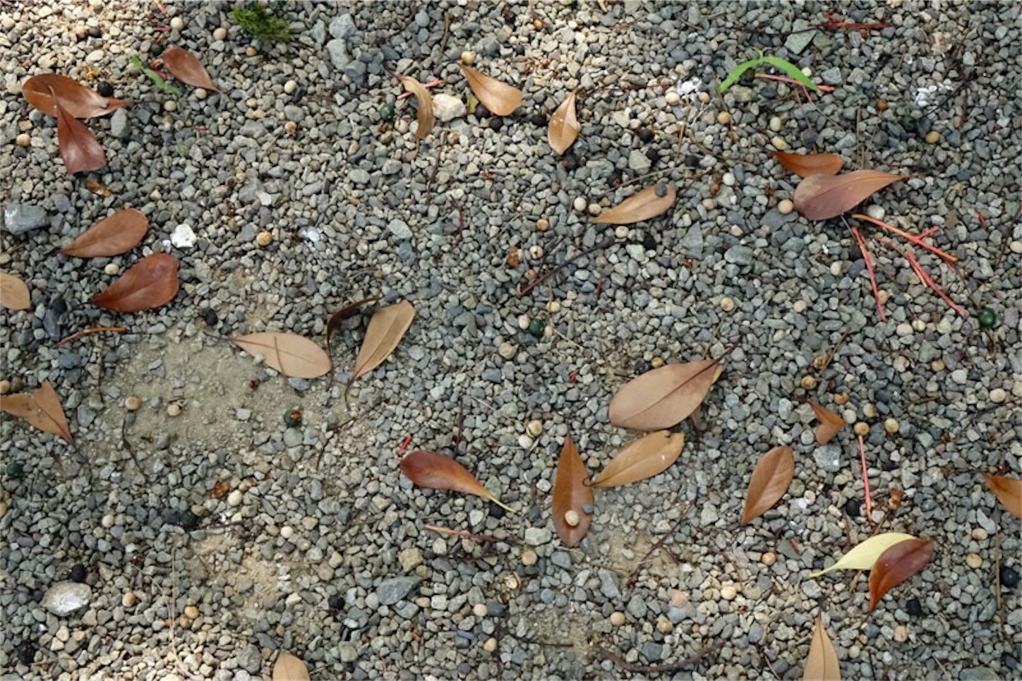 f:id:Jiroviolet:20190807093035j:image