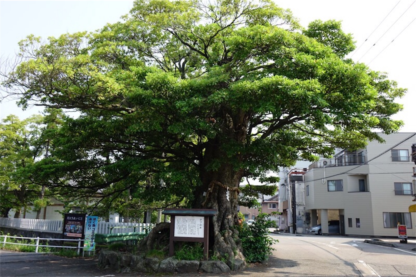 f:id:Jiroviolet:20190807093517j:image