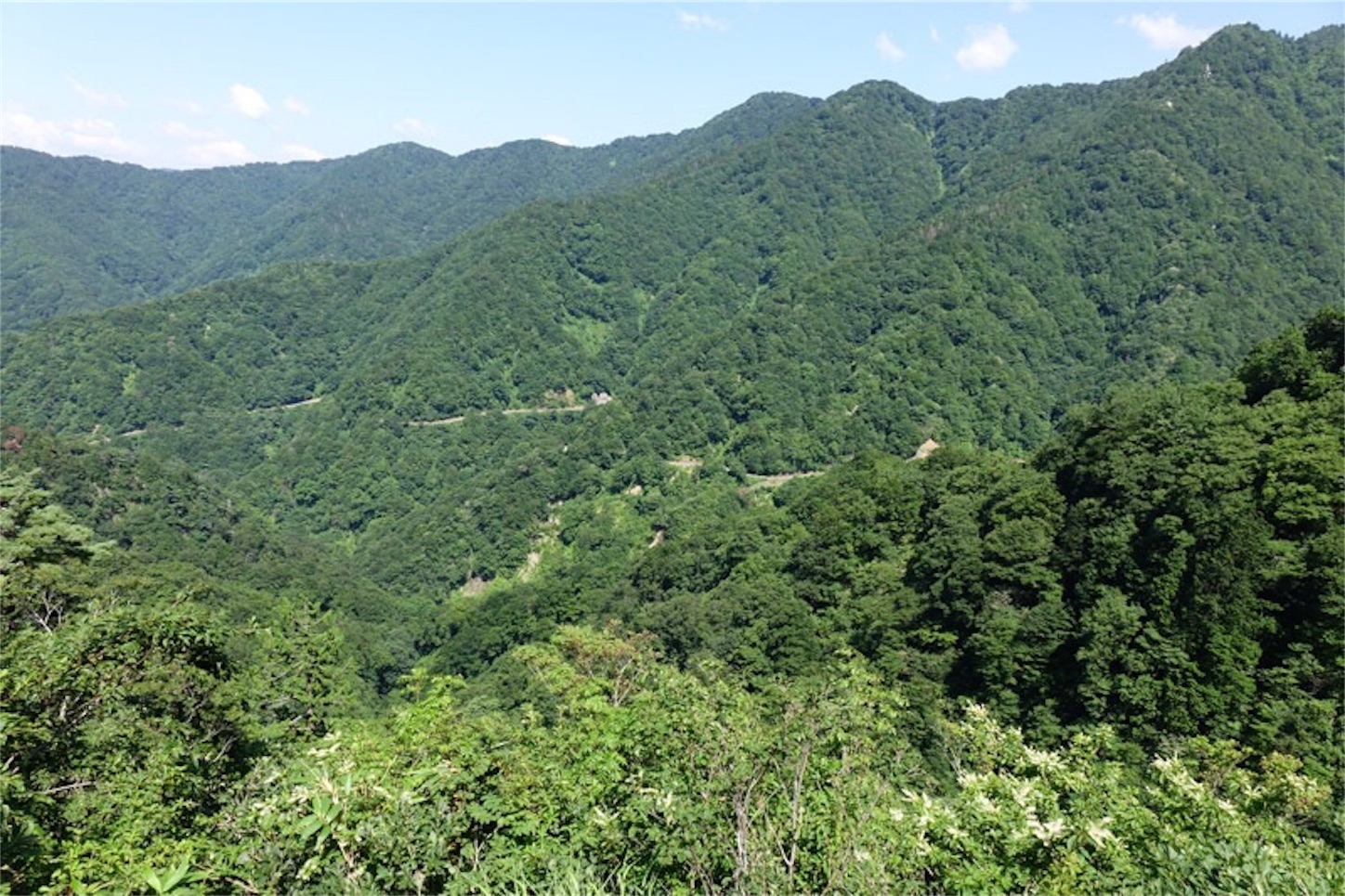 f:id:Jiroviolet:20190810132519j:image f:id:Jiroviolet:20190810132519j:image