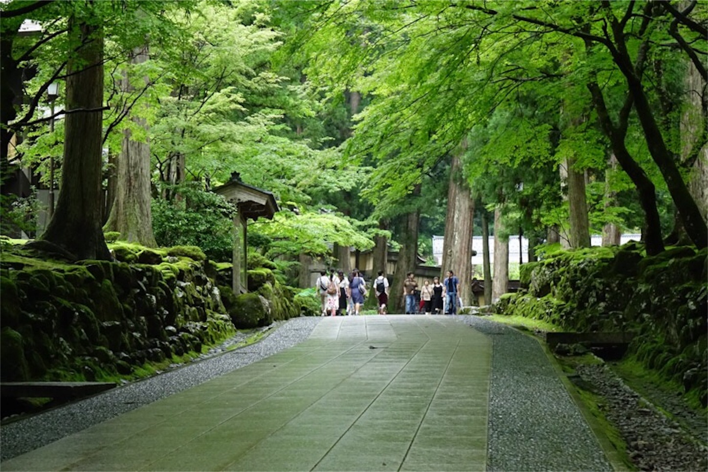 f:id:Jiroviolet:20190829083639j:image