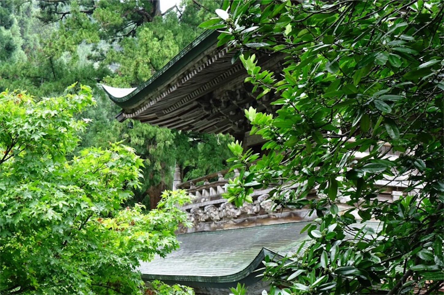 f:id:Jiroviolet:20190829114805j:image