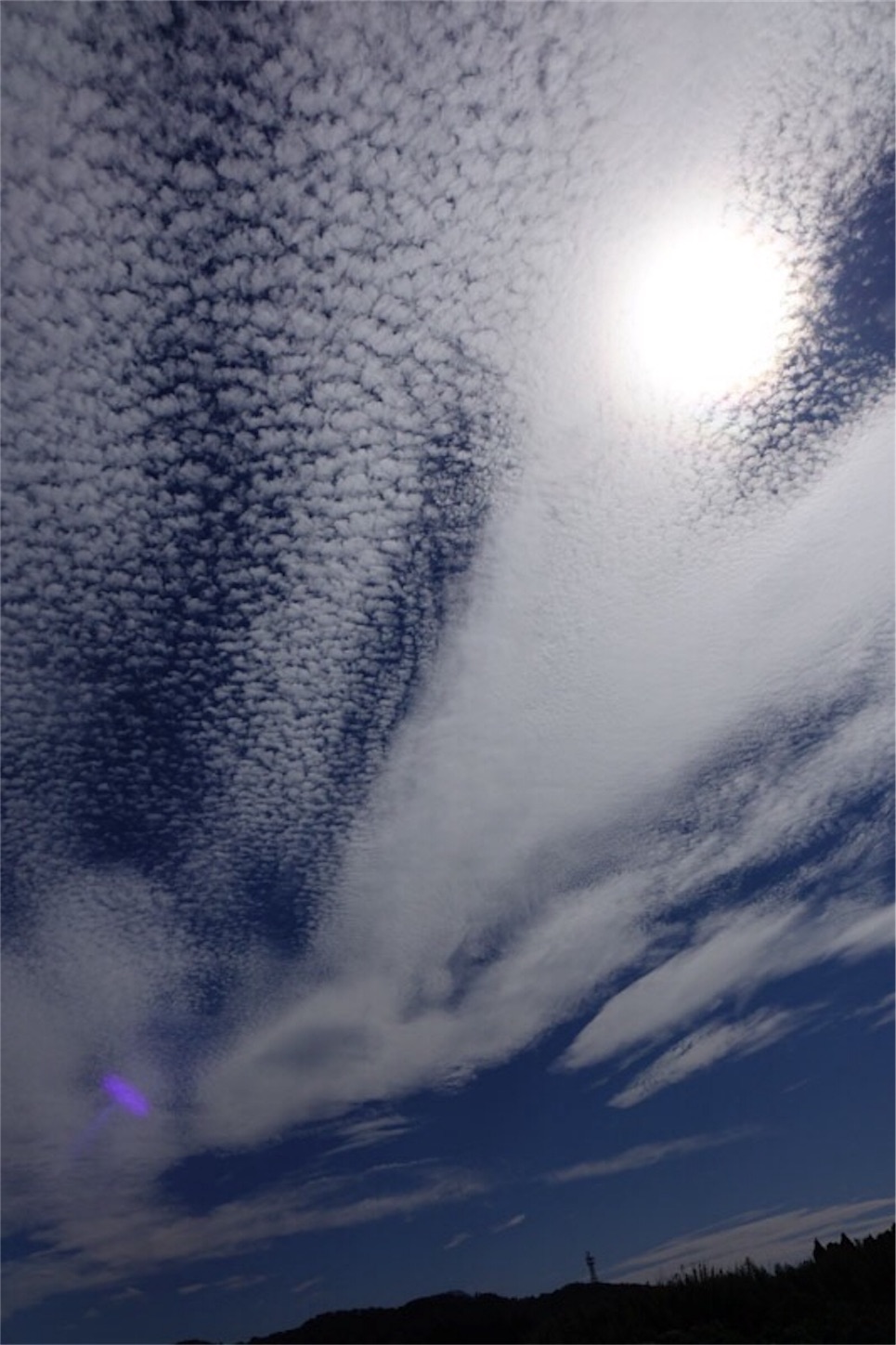 f:id:Jiroviolet:20190912173135j:image