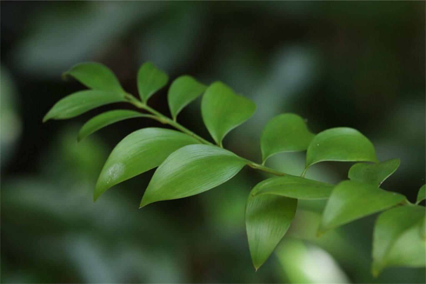 f:id:Jiroviolet:20190921212642j:image
