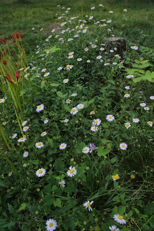 f:id:Jiroviolet:20190928135248j:plain
