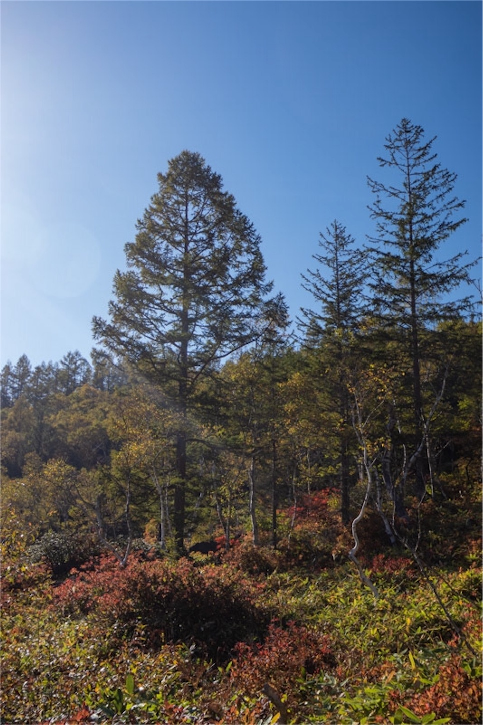 f:id:Jiroviolet:20191020134506j:image