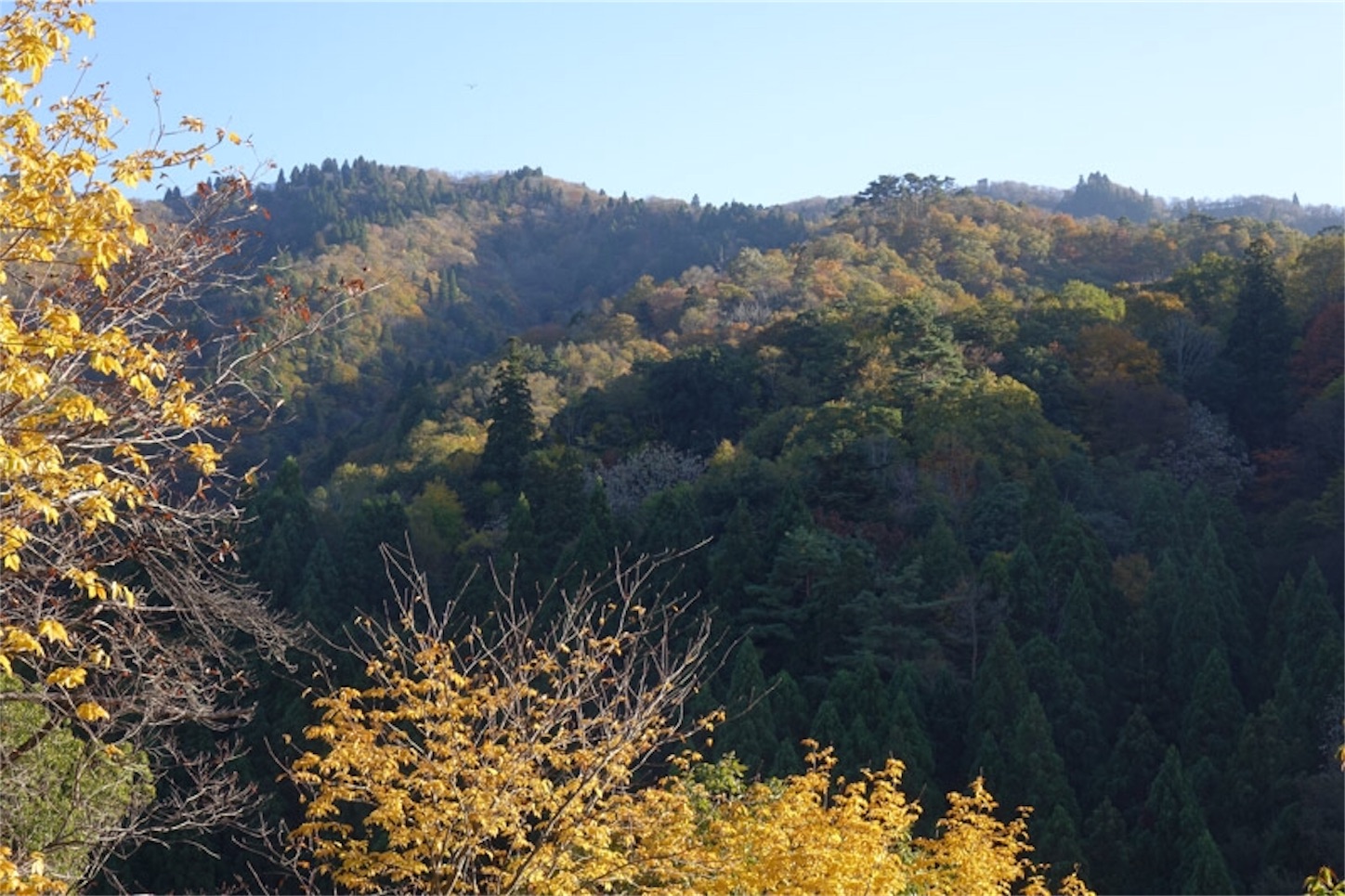 f:id:Jiroviolet:20191113200500j:image f:id:Jiroviolet:20191113200500j:image
