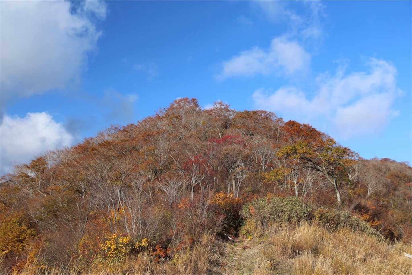 f:id:Jiroviolet:20191122080358j:image