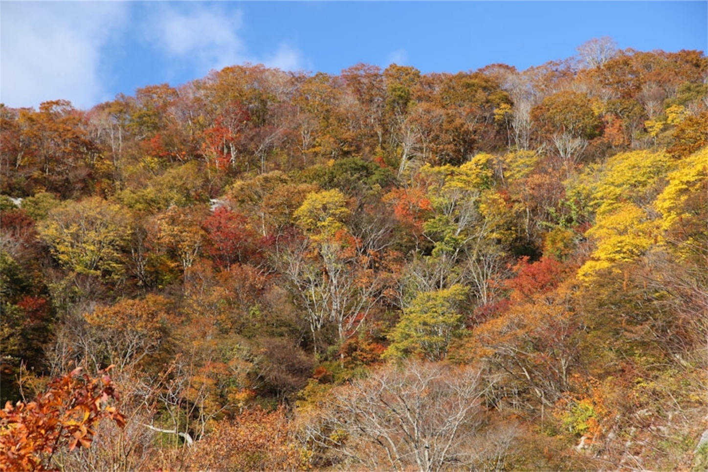 f:id:Jiroviolet:20191122080410j:image