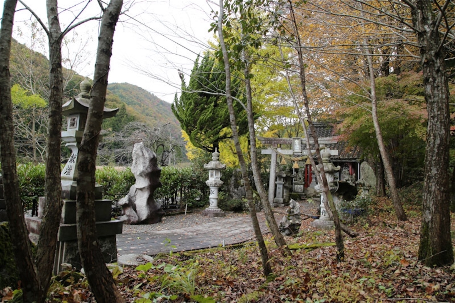 f:id:Jiroviolet:20191122080946j:image