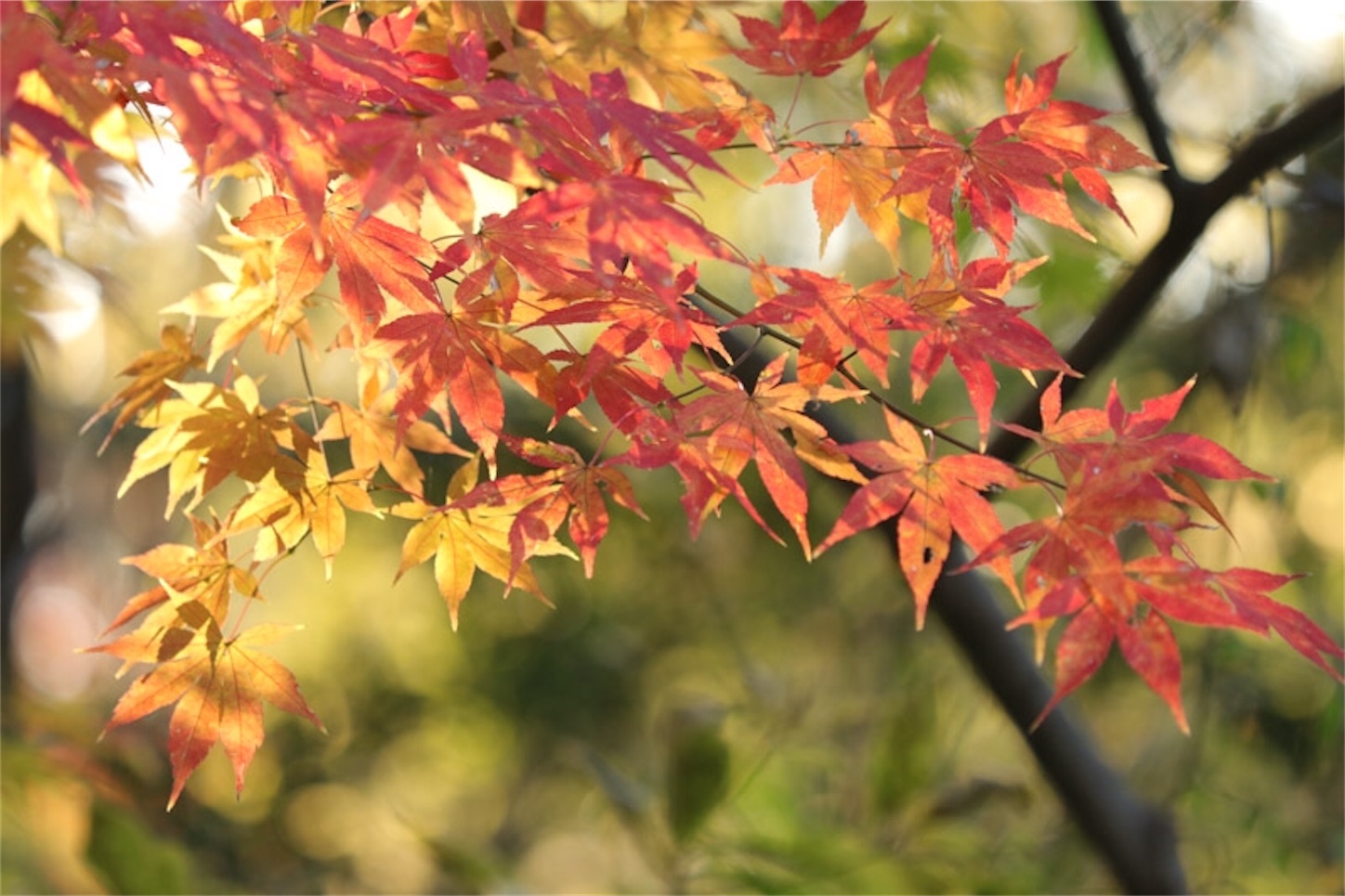 f:id:Jiroviolet:20191215183922j:image f:id:Jiroviolet:20191215183922j:image
