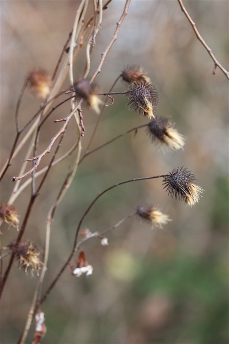 f:id:Jiroviolet:20191228192713j:image