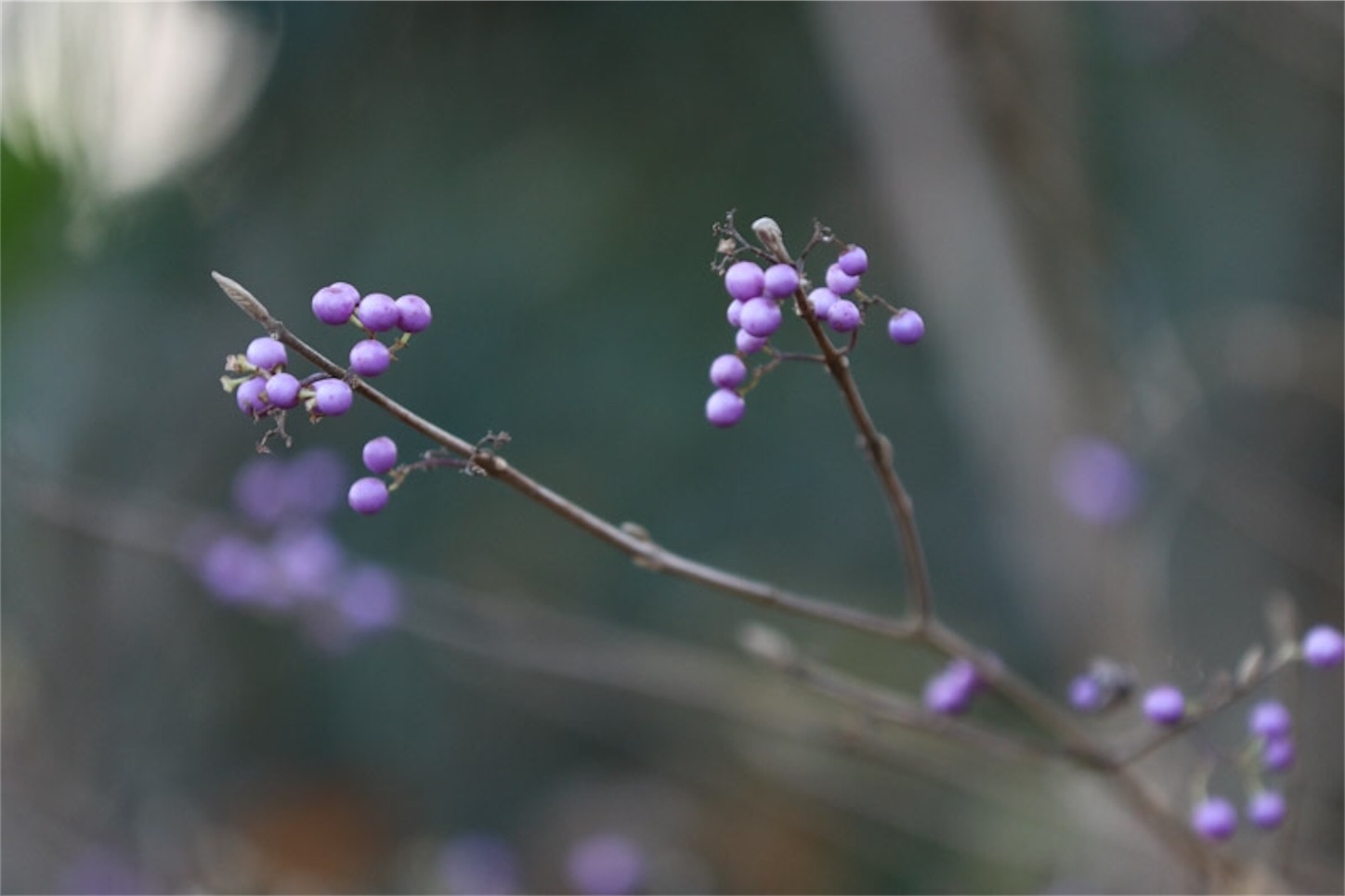f:id:Jiroviolet:20191228202506j:image