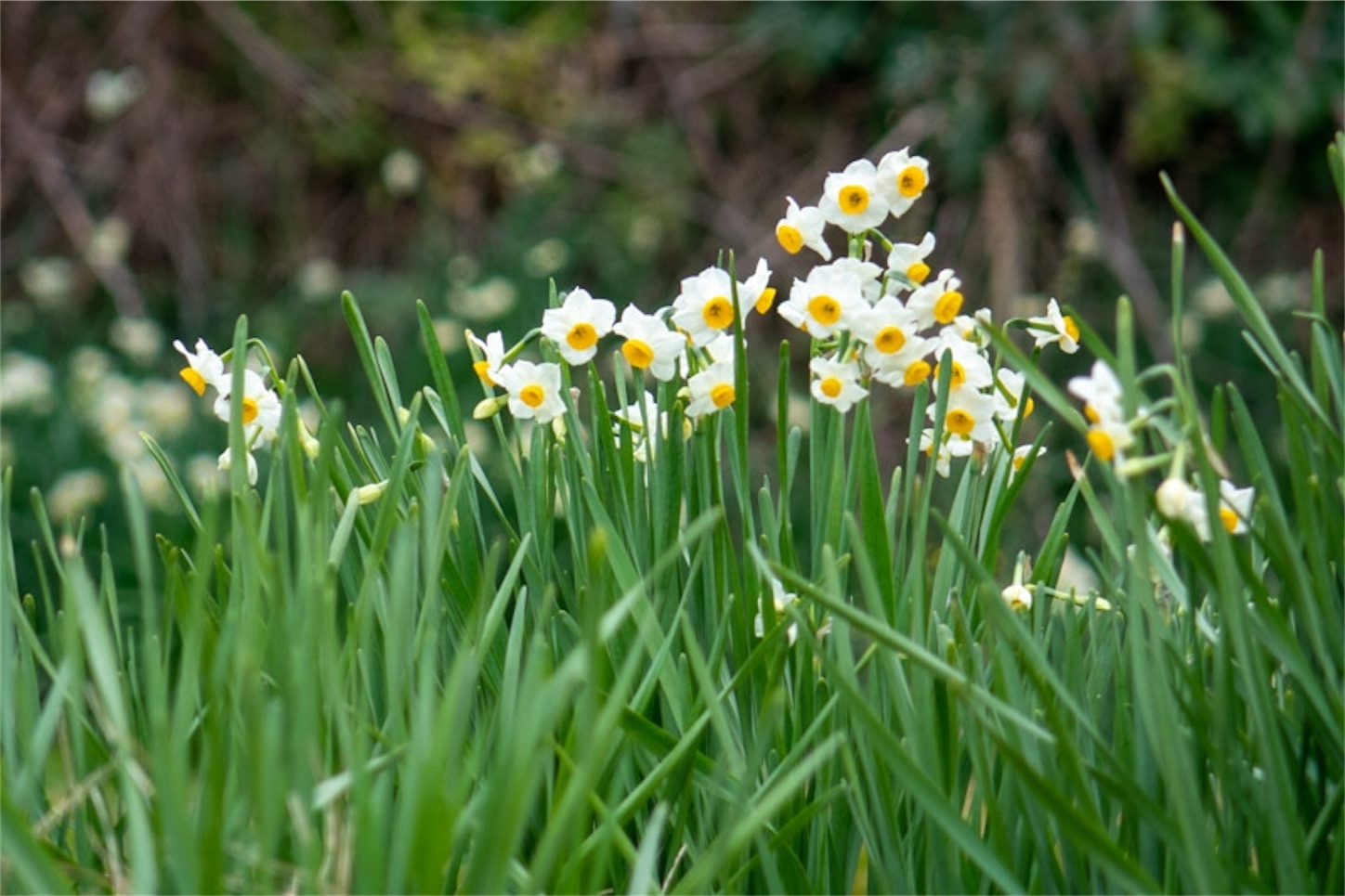 f:id:Jiroviolet:20200125170129j:image f:id:Jiroviolet:20200125170129j:image