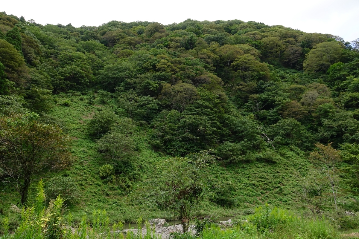 f:id:Jiroviolet:20201008132445j:plain f:id:Jiroviolet:20201008132445j:plain