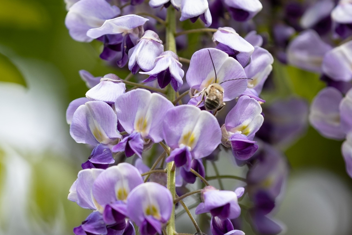 f:id:Jiroviolet:20210507160333j:plain