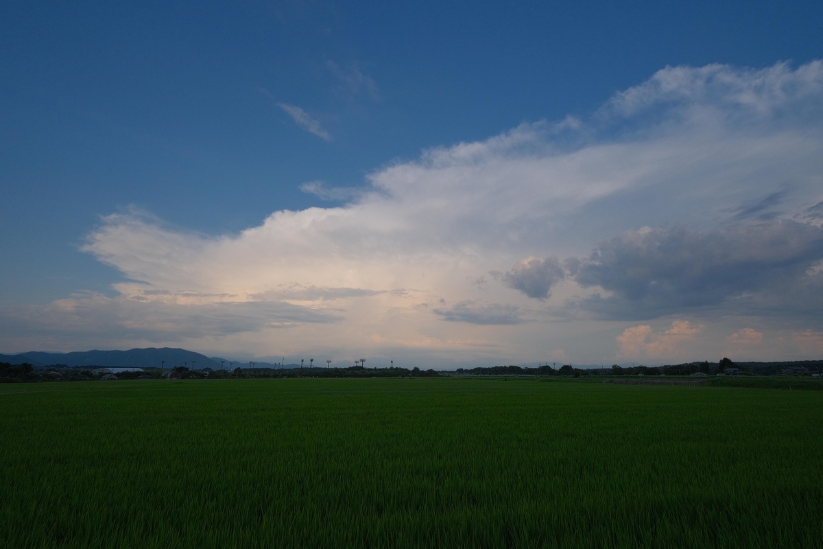 f:id:Jiroviolet:20210801095658j:plain