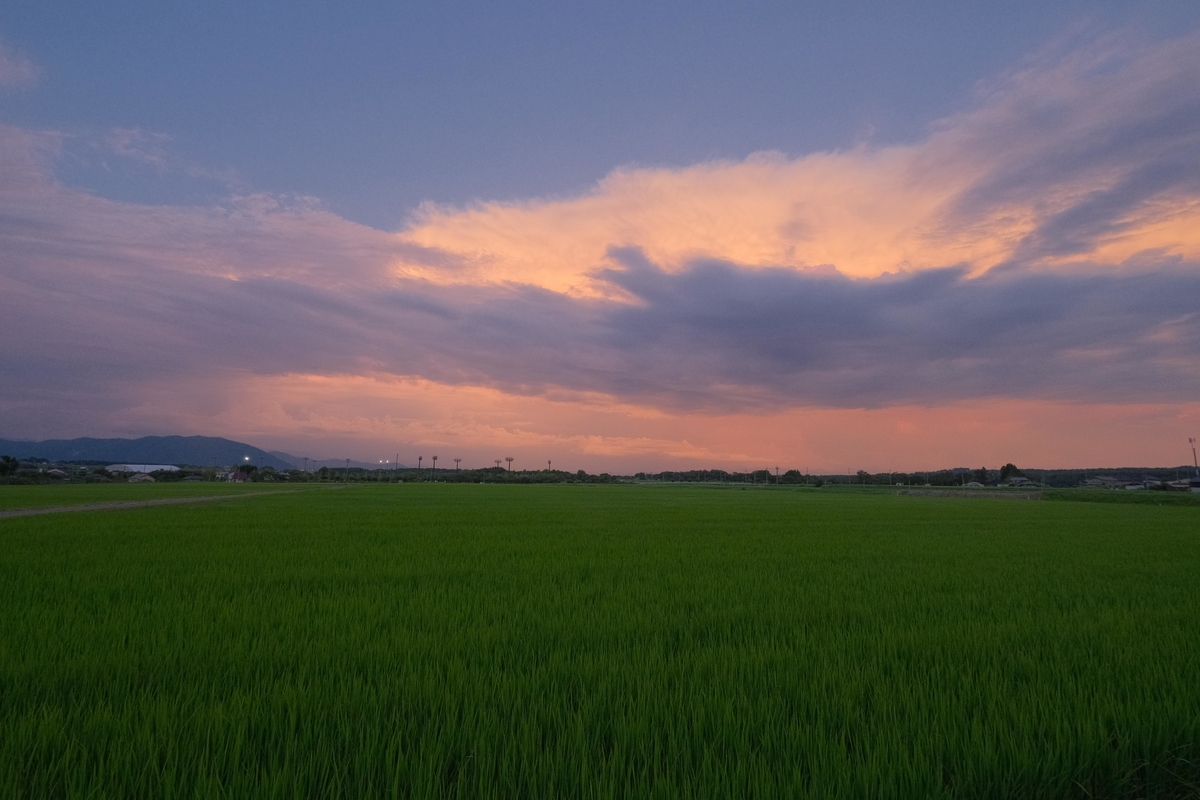 f:id:Jiroviolet:20210801095704j:plain