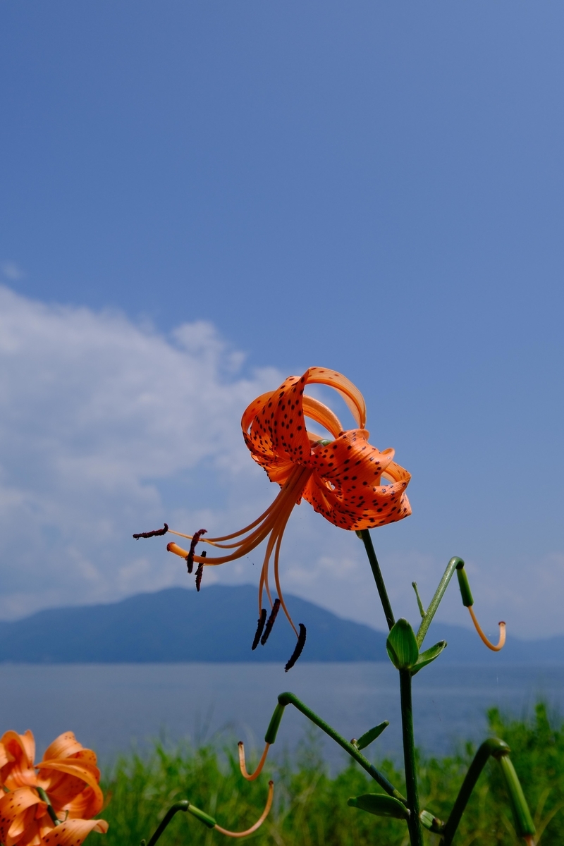 f:id:Jiroviolet:20210801101014j:plain