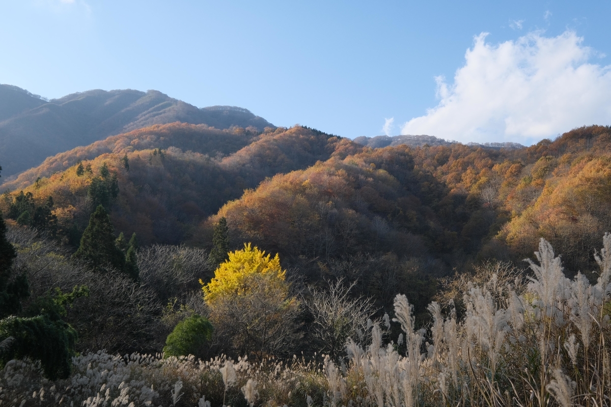f:id:Jiroviolet:20211123103047j:plain