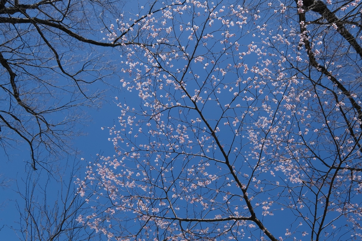 f:id:Jiroviolet:20220331103615j:plain