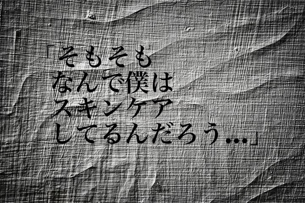 f:id:Jmiya:20191113125321j:image f:id:Jmiya:20191113125321j:image