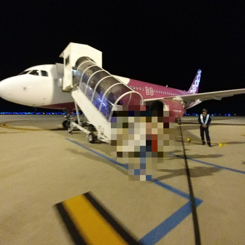 f:id:JohnJohnJohn_k:20191014162514j:plain