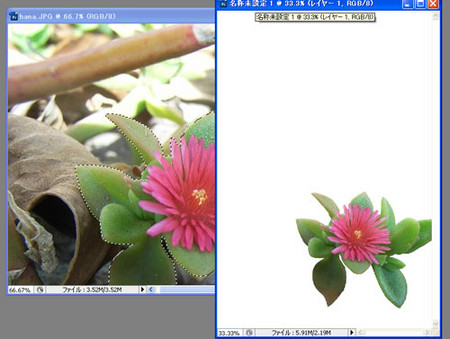 f:id:JohnMcClane:20080421034211j:image f:id:JohnMcClane:20080421034211j:image