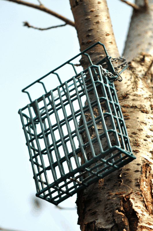 f:id:Johnnobi:20110207112737g:image