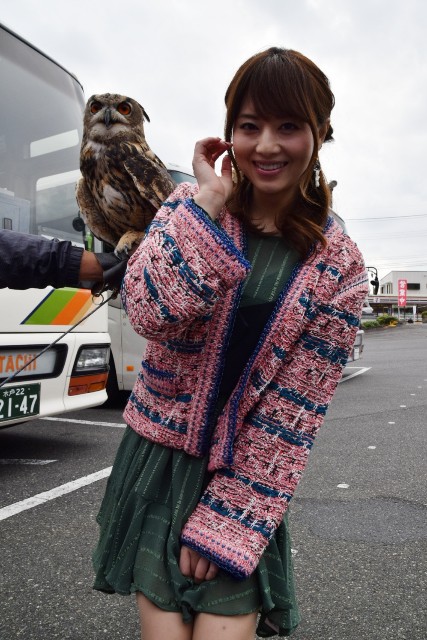 f:id:Jonathan:20181029073946j:plain