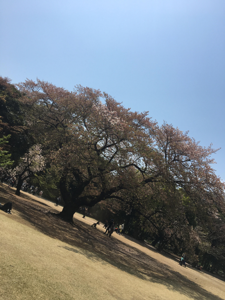 f:id:Jonjun:20170421095909j:plain f:id:Jonjun:20170421095909j:plain