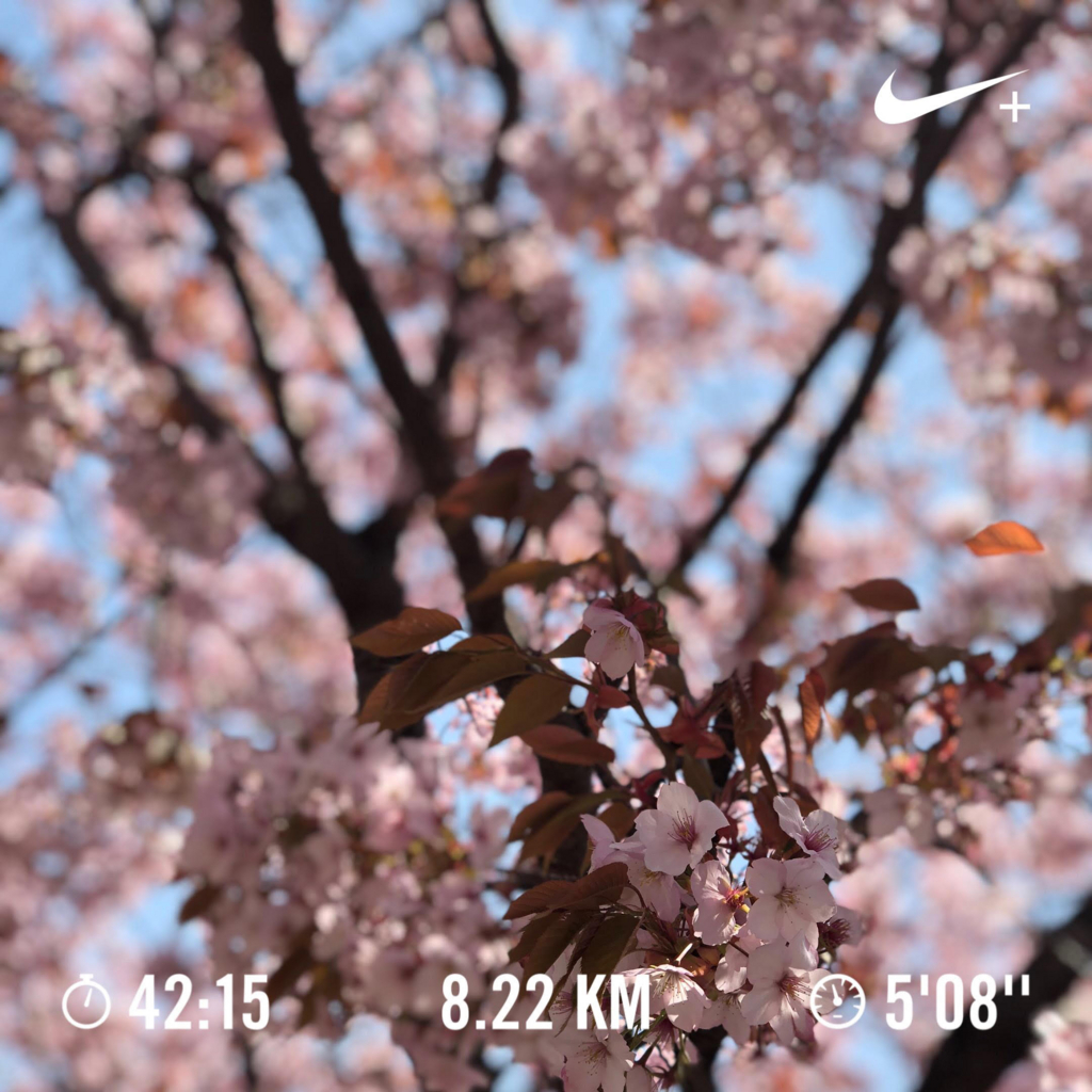 f:id:Jonjun:20180402132023j:plain