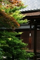 [寺社][世界遺産]仁和寺/黒書院