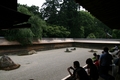 [寺社][世界遺産]龍安寺/石庭