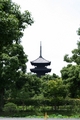 [寺社][世界遺産]東寺/五重塔