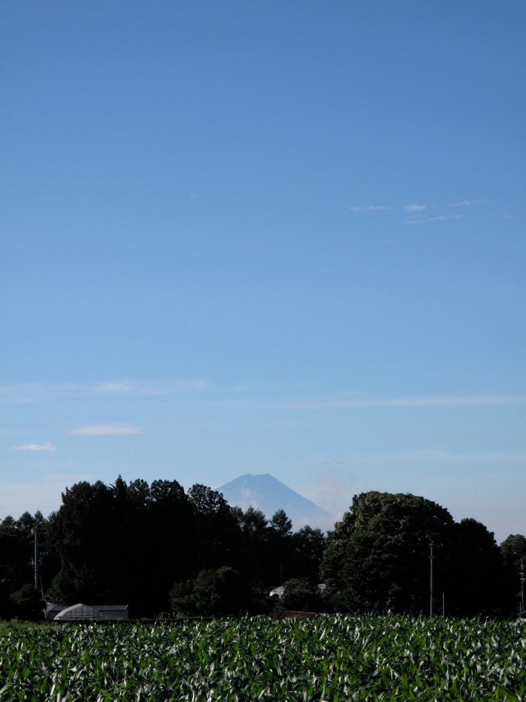 富士山