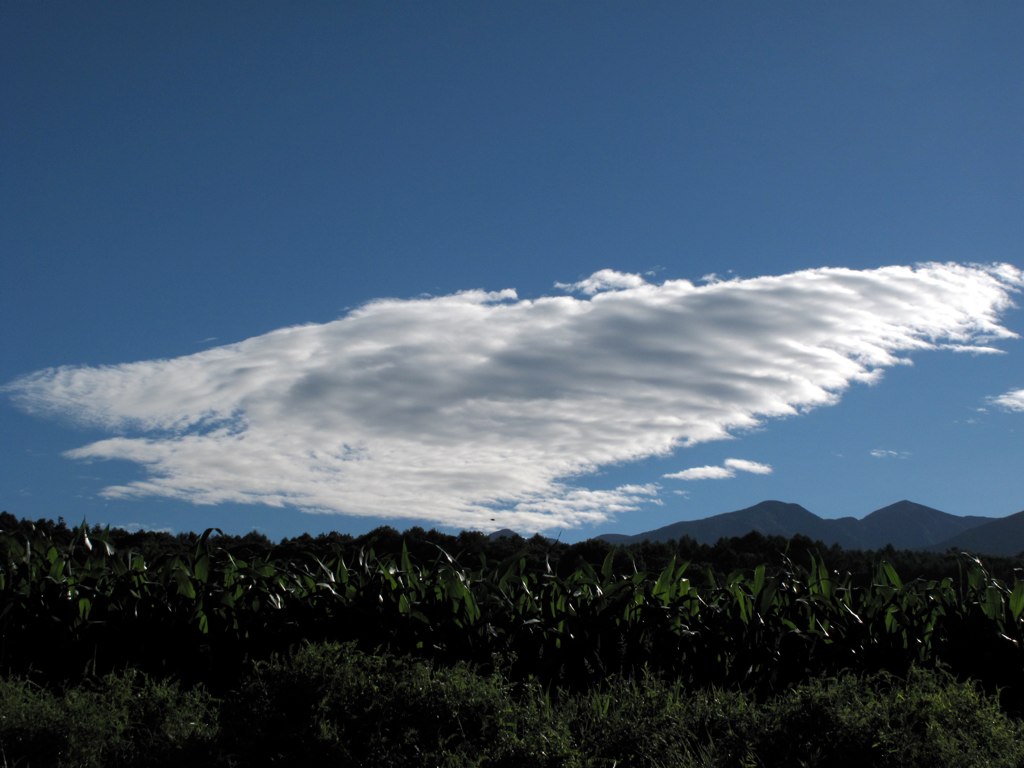 雲