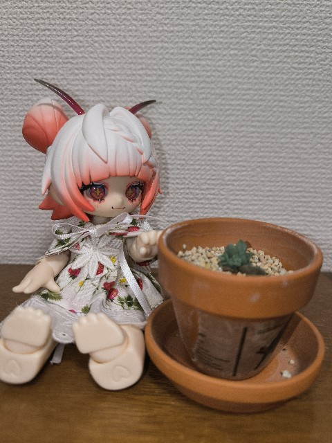 f:id:JuRi_Tei:20250723132846j:image f:id:JuRi_Tei:20250723132846j:image