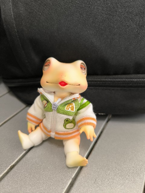 f:id:JuRi_Tei:20250723155550j:image f:id:JuRi_Tei:20250723155550j:image