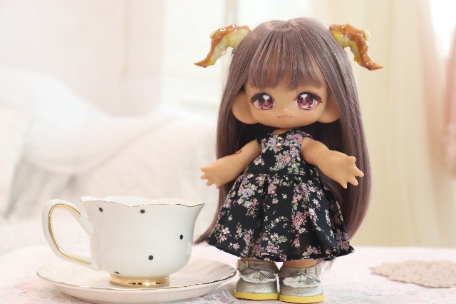 f:id:JuRi_Tei:20250729122256j:image f:id:JuRi_Tei:20250729122256j:image