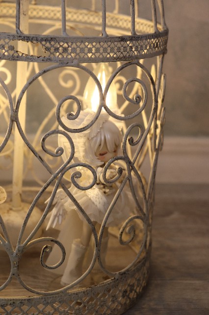 f:id:JuRi_Tei:20250729122711j:image f:id:JuRi_Tei:20250729122711j:image