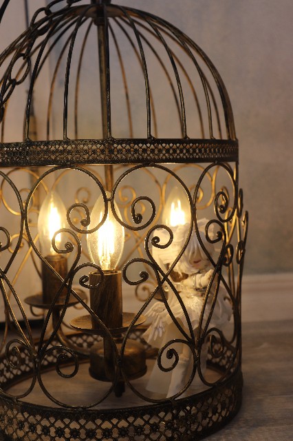 f:id:JuRi_Tei:20250729122738j:image f:id:JuRi_Tei:20250729122738j:image